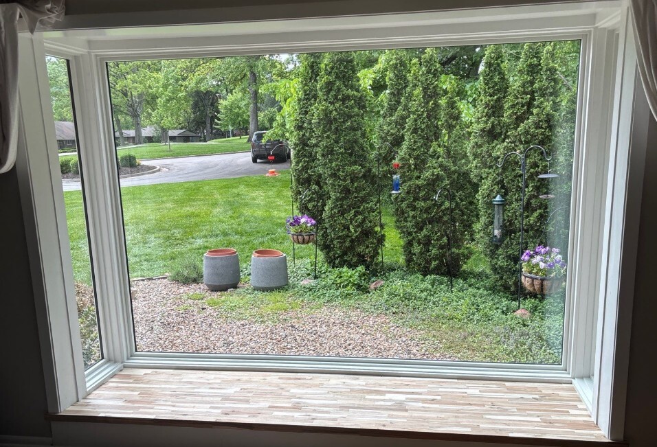Wolf Window