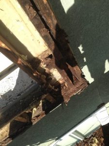 Rotted-Window