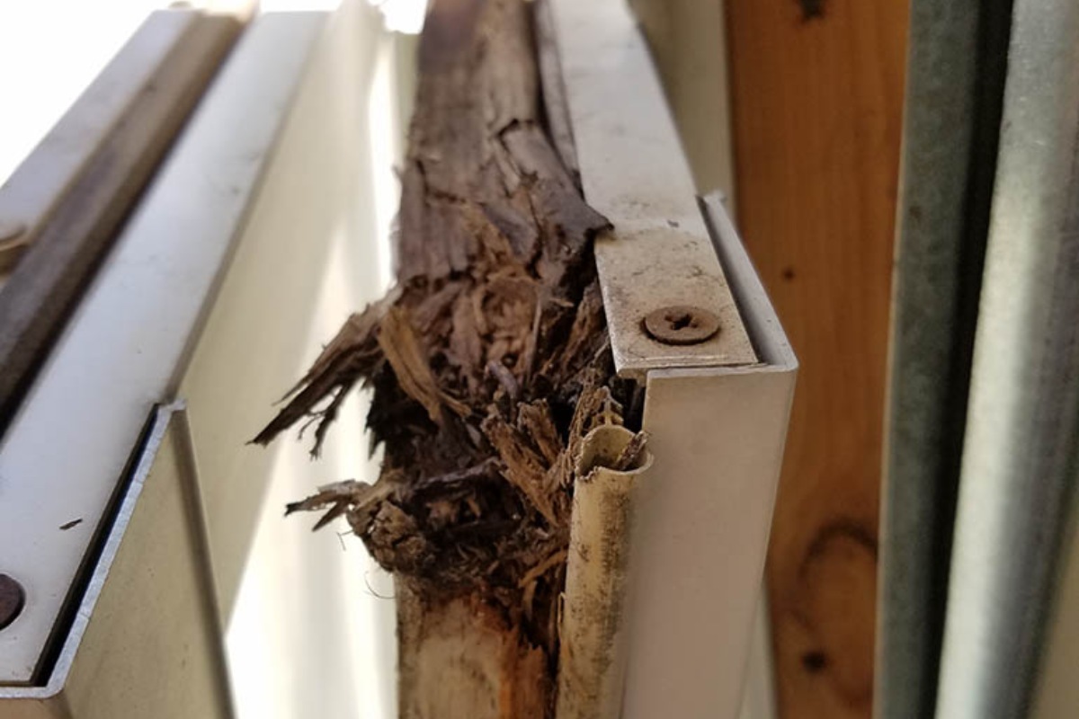 What to Do About Leaking Windows_ Featured Image