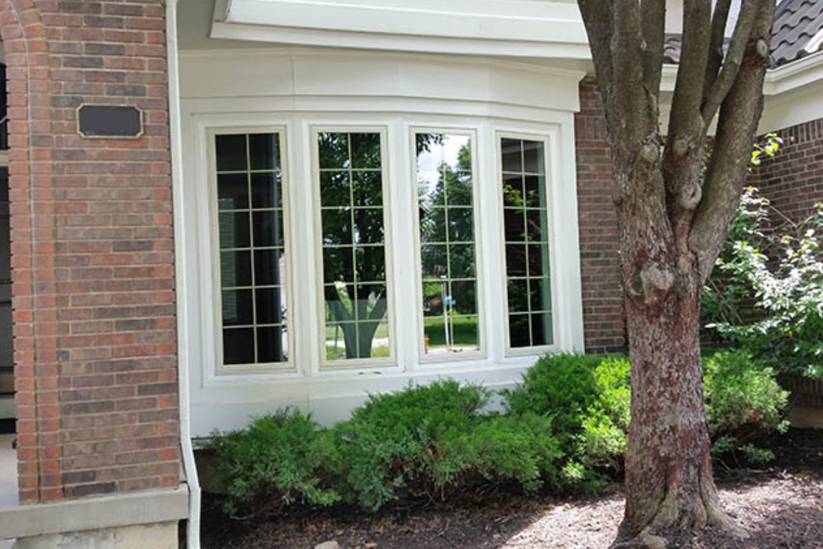 Window Replacement Featured Image